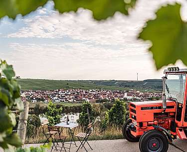 Schwane Wein Aussicht