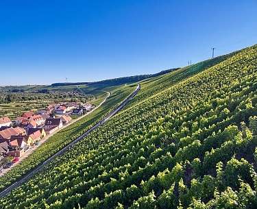 Lump Blick auf den Weinhang Enschdorfer Lump